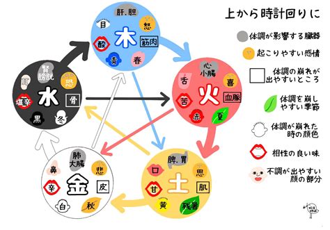 五行 皮膚|陰陽五行説と東洋医学の関係を解説！体質改善や美容。